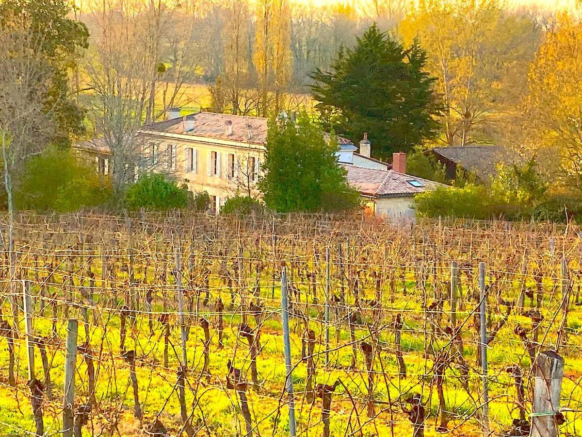 Fabuleux - Domaine Du Moulin D'Andraut Bordeaux-Chevaux-Golf-St Emilion Villa Montussan Buitenkant foto