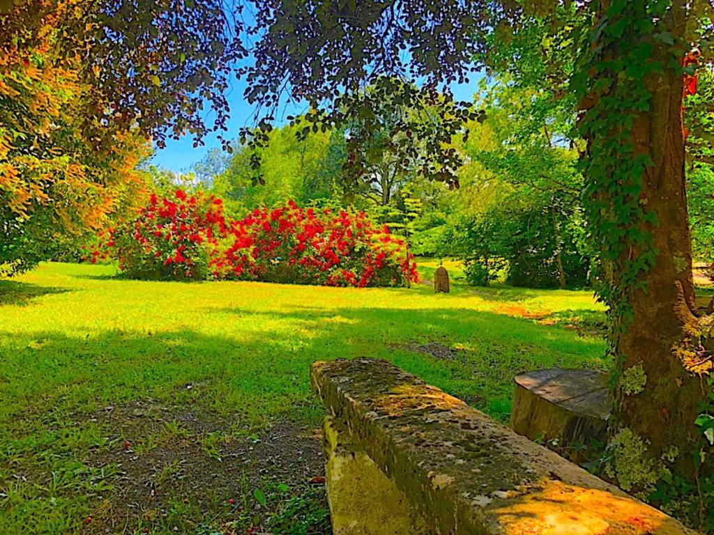 Fabuleux - Domaine Du Moulin D'Andraut Bordeaux-Chevaux-Golf-St Emilion Villa Montussan Buitenkant foto